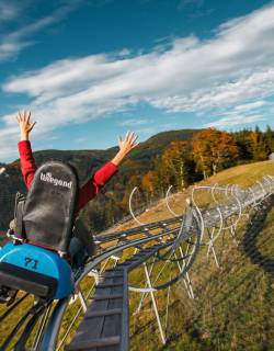 Erlebnisse im Schwarzwald - Feldberger Hof 