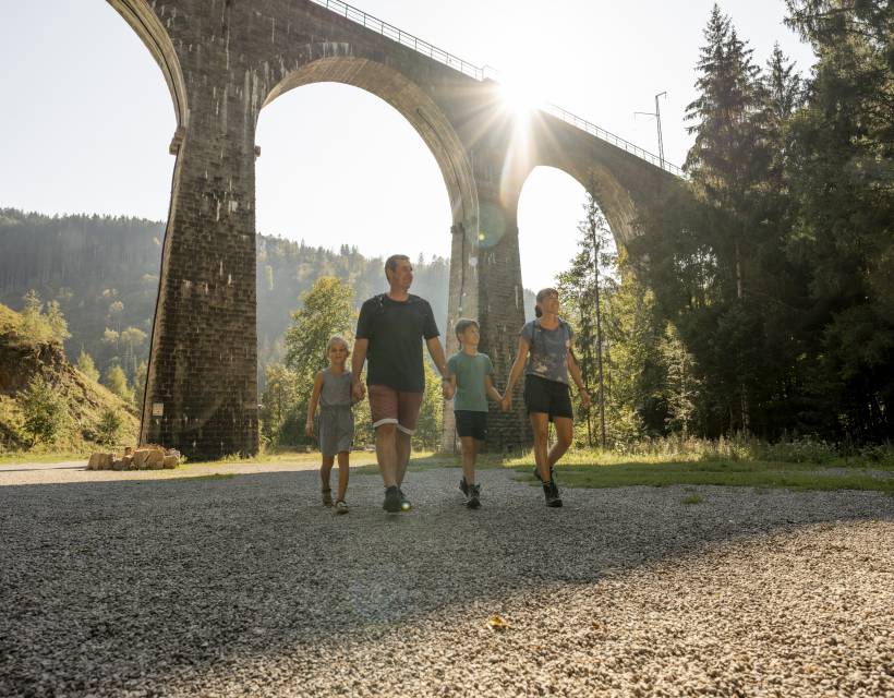 Aktiv nach dem Genusserlebnis: Nach dem Schlemmen raus in die Natur - Feldberger Hof 
